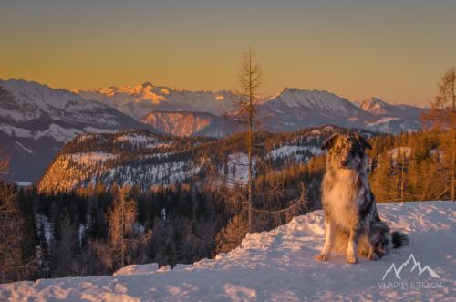 Austria, Tauplitz Alm