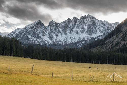 Austria, Tauern