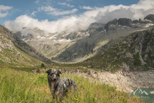 Italy, national park dell'Adamello, Lago di Salarno