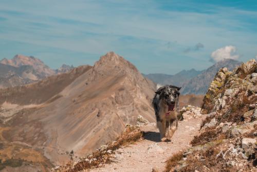 France, Croix de la Cime (2603 m)